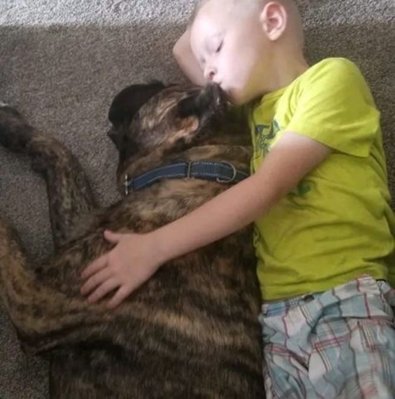 Meet your Posher, Evan - Picture 1 of 1